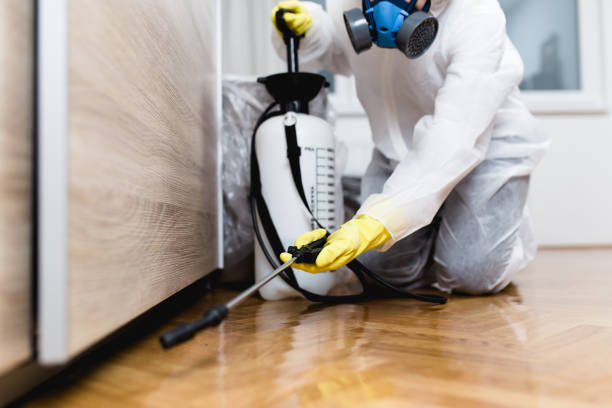 Best Pest Control Near Me  in Boonville, NC