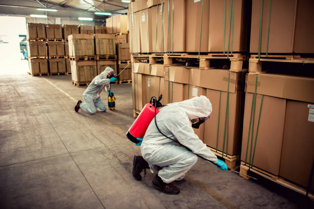 Best Ant Control Services  in Boonville, NC