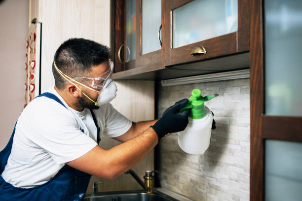 Best Pest Removal Services  in Boonville, NC