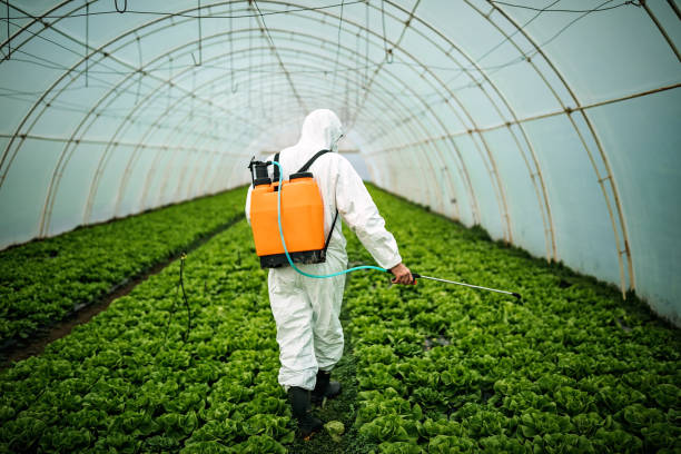Best Mosquito Control Services  in Boonville, NC