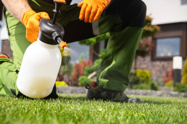 Best Pest Control for Homes  in Boonville, NC