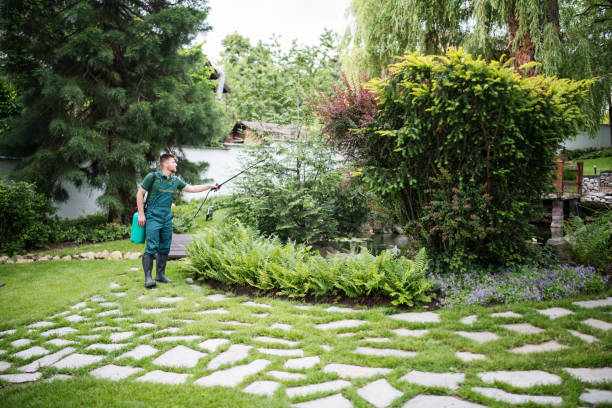 Trusted Boonville, NC Pest Control Experts