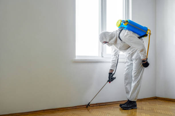 Best Affordable Pest Control Services  in Boonville, NC