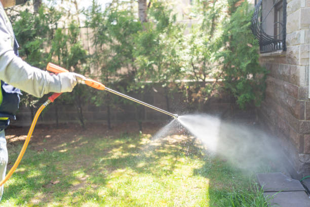 Best Pest Control Near Me in Boonville, NC