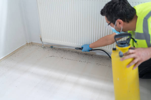 Pest Control for Restaurants in Boonville, NC