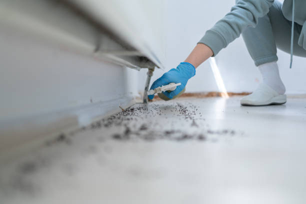 Best Pest Control Near Me  in Boonville, NC